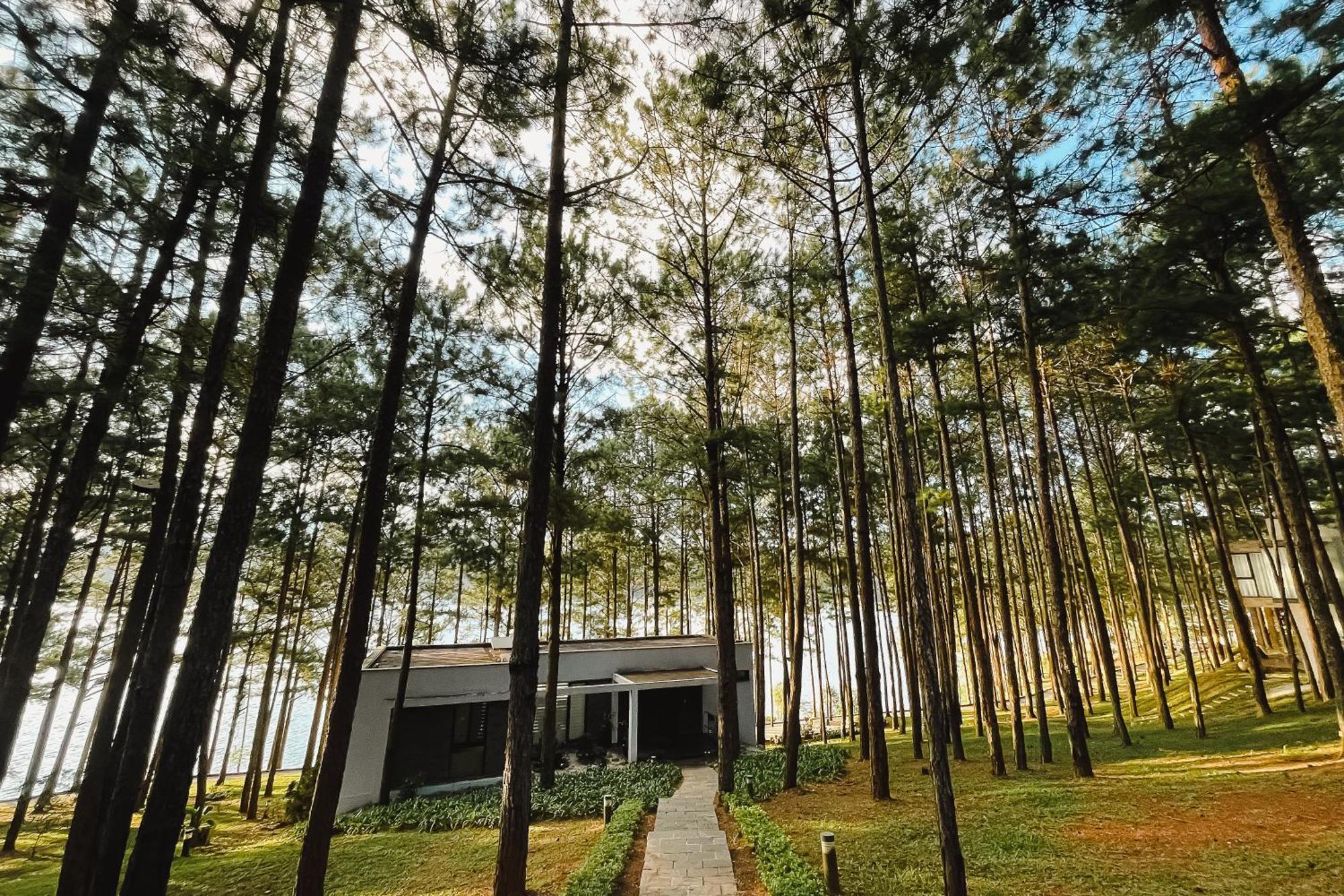 Terracotta Hotel & Resort Dalat Da Lat Exterior foto